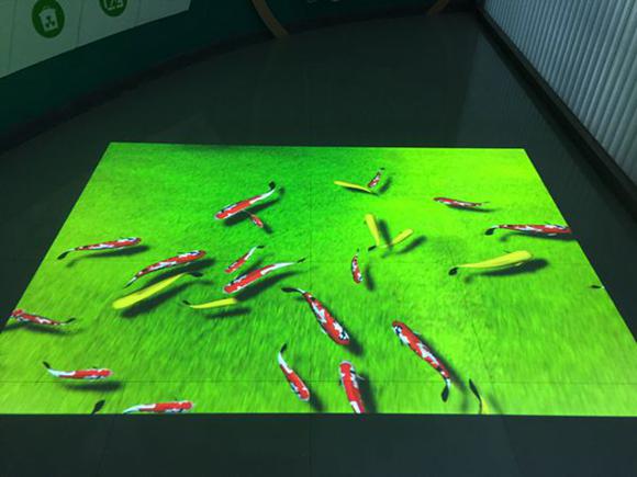 地面魚水互動