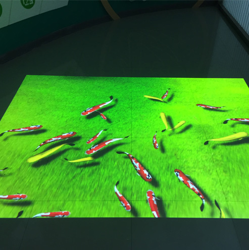魚水互動